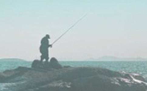 《小猫钓鱼》续写作文