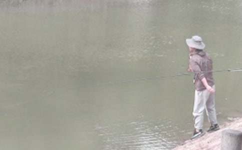 《小猫钓鱼》教案15篇(荐)