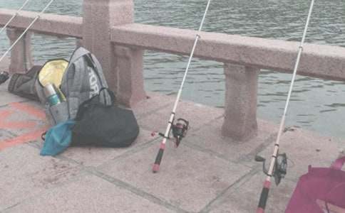 小班教案《小猫钓鱼》