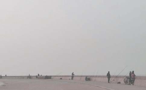 钓鱼的启示读后感(合集15篇)