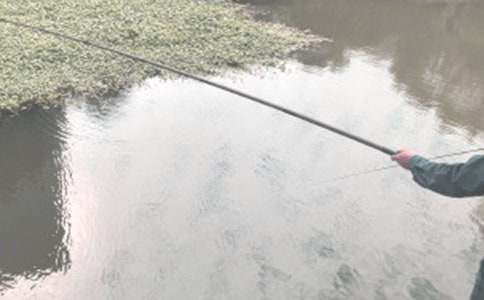 《钓鱼的启示》读后感700字