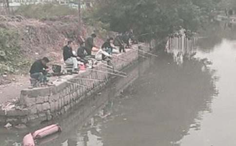 五年级《钓鱼的启示》教案