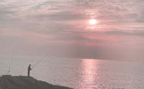 小猫钓鱼小学作文(集合15篇)