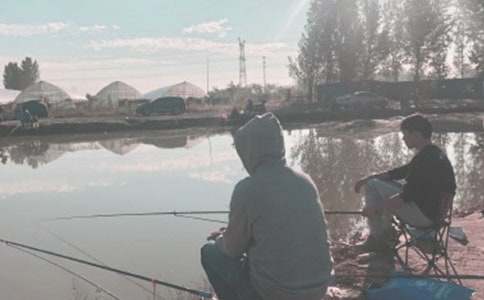 小猫钓鱼小学作文(汇编15篇)