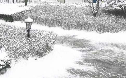 冬季疾病预防教案模板（通用14篇）