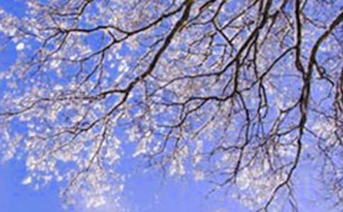 (优)小学冬天的作文600字