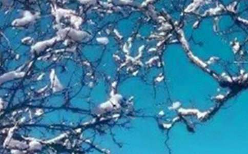 冬天烟台的海导游词