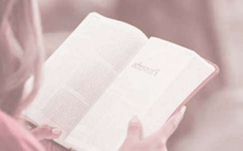 2022小班国际儿童读书日教案