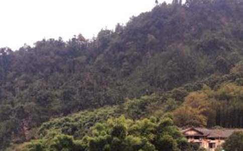 《峨眉山月歌》教案11篇