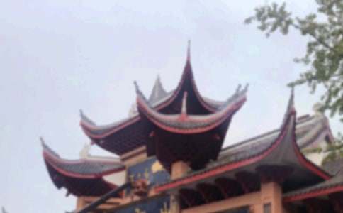 峨眉山风景的作文15篇