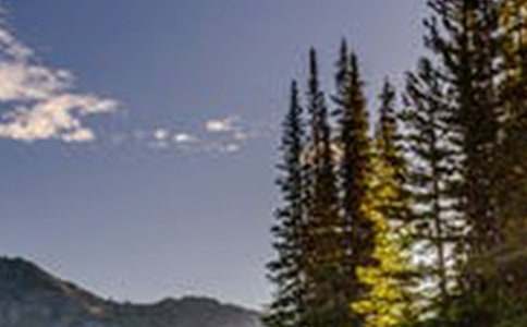 【荐】关于风景的作文