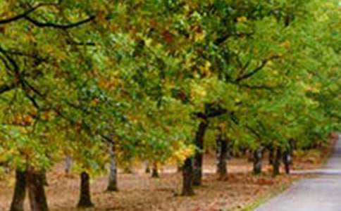 精选窗外的风景作文600字3篇