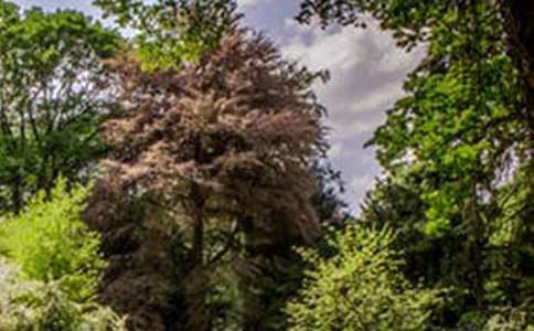 精选优秀风景作文600字10篇