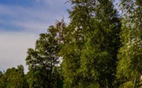 于无风景处看“风景”作文