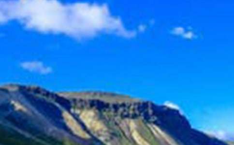 路上有风景作文