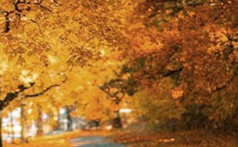 风景在路上作文(精选)