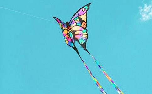 读《风筝是会飞的鱼》有感（精选10篇）