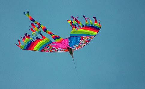 放风筝小学作文精选15篇