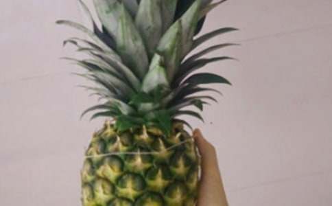 红星凤梨的花语是什么