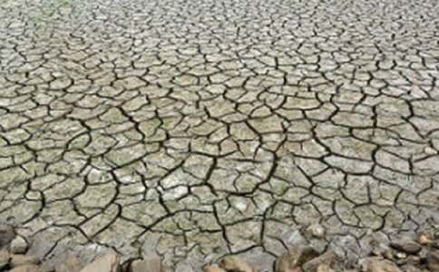 防治荒漠化和干旱日国旗下讲话稿