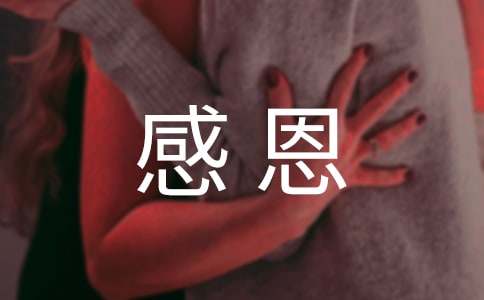 【精选】感恩的优秀作文300字三篇