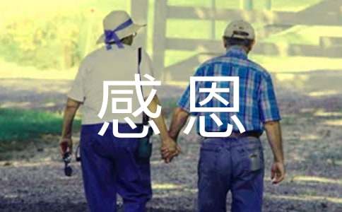 感恩奶奶的作文300字三篇