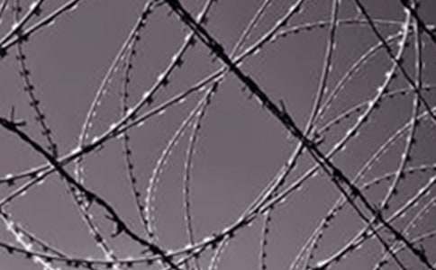 （精选）观看钢铁意志观后感15篇