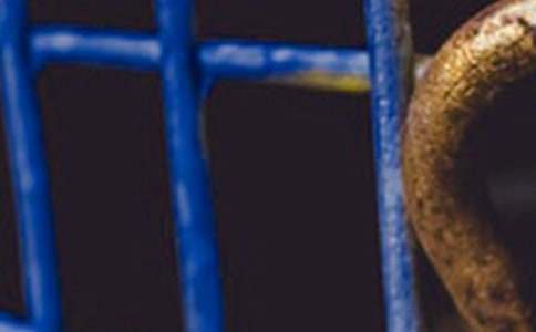 电影钢铁意志的观后感经典21篇