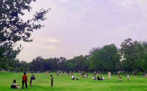 南湖公园导游词