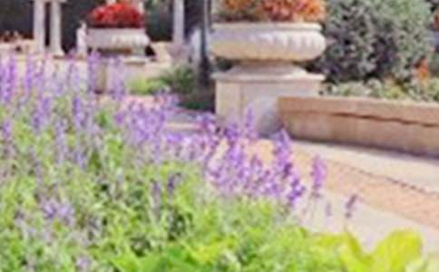 西湖公园的导游词