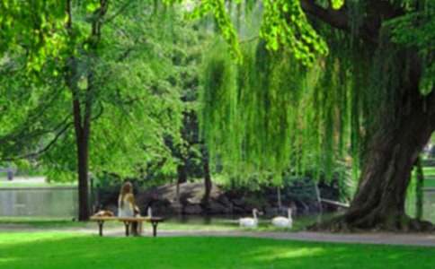 南山公园导游词（精选39篇）