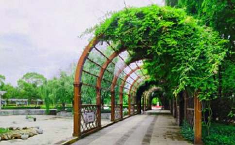 深圳湾公园导游词