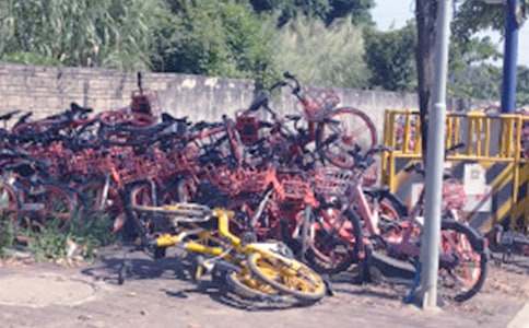 共享单车实践心得体会