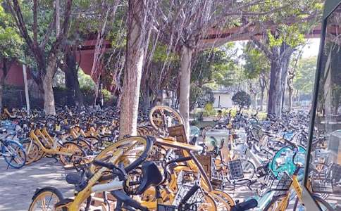 关于共享单车的倡议书（精选17篇）