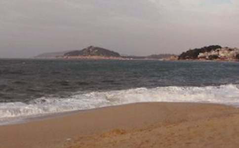 鼓浪屿导游词集锦15篇