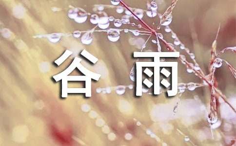 谷雨节气的教案