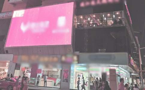 【精】《时代广场的蟋蟀》读后感