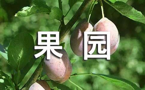 果园转让合同范本