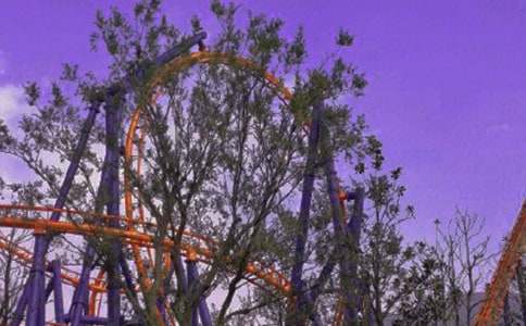 过山车之旅作文