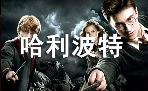 哈利波特心得体会13篇(优)