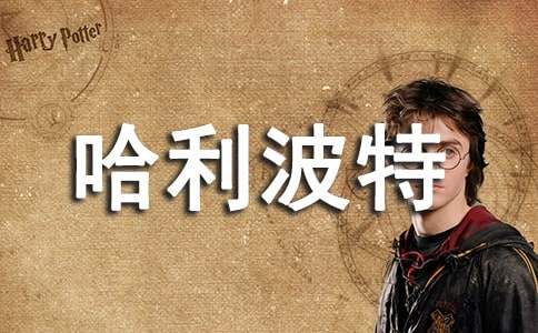 《哈利波特》观后感（精选）