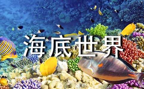 有关海底世界教案模板合集6篇