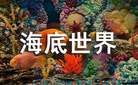 精选海底世界教案汇总十篇