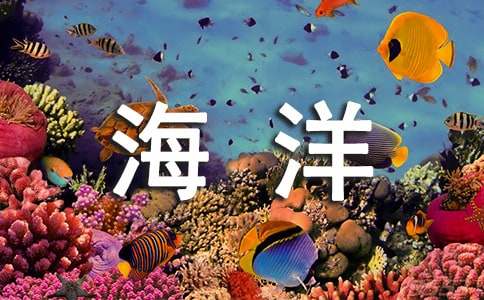 《海洋的秘密》读后感