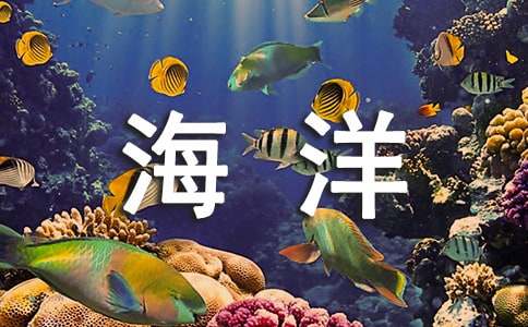 海洋天堂观后感