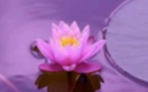 创建和谐小区倡议书