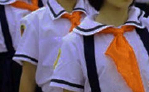 课文《红领巾真好》的教案