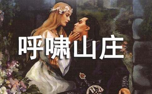 呼啸山庄读后感