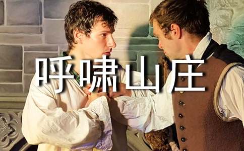 呼啸山庄读后感13篇