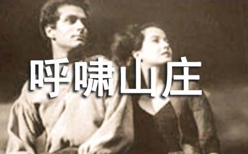 呼啸山庄读书心得体会5篇